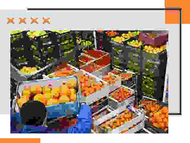 Перевозка скоропортящихся продуктов в Камне-на-Оби